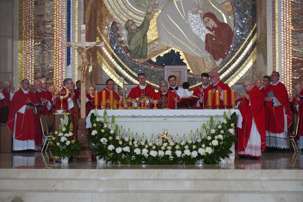 Conosco le mie pecore e le mie pecore conoscono me
