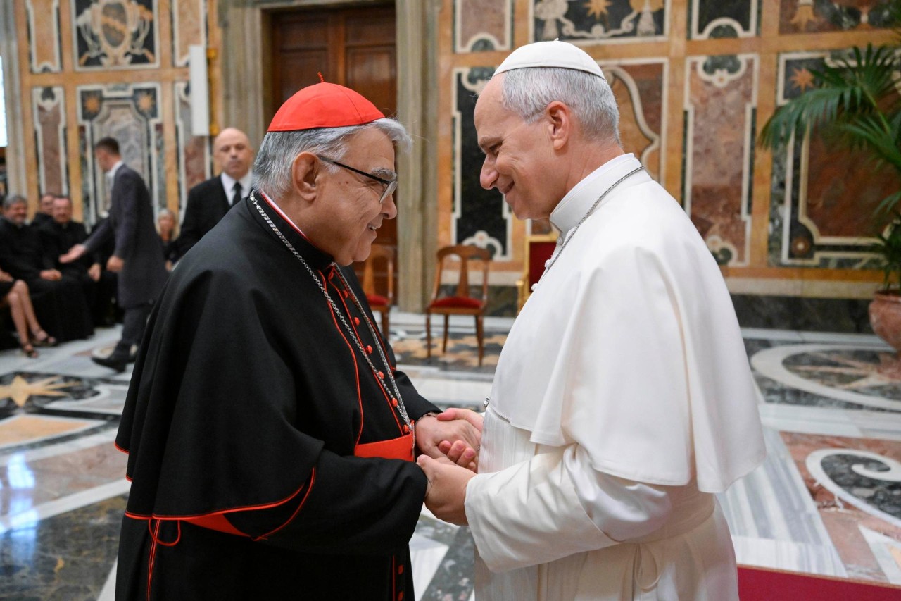 Discorso del Santo Padre ai Partecipanti al Convegno promosso dal Dicastero delle Cause dei Santi